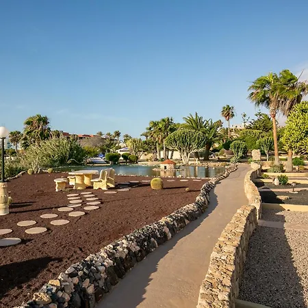 Hotel Livvo Risco Del Gato Costa Calma